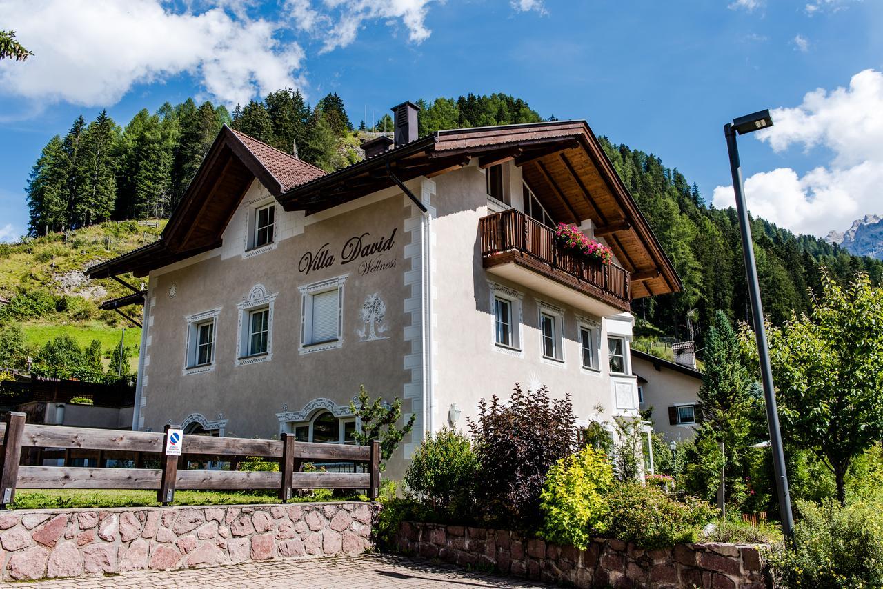 David Dolomites 3*