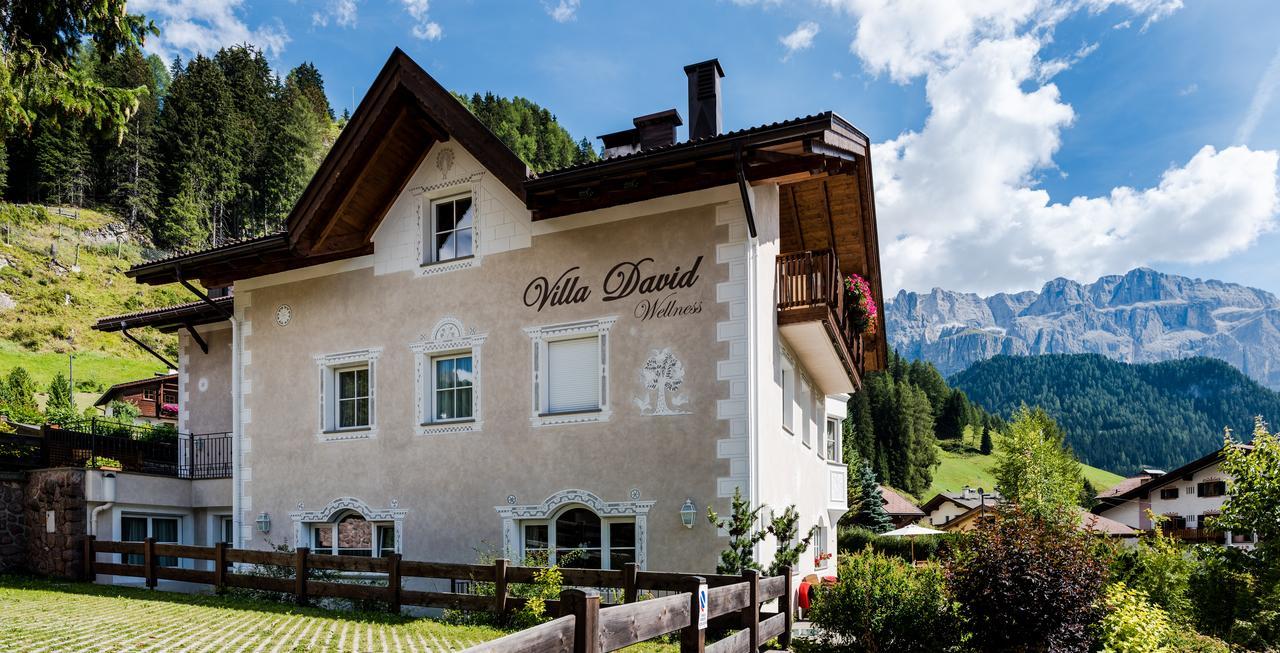 David Dolomites 3* Sëlva